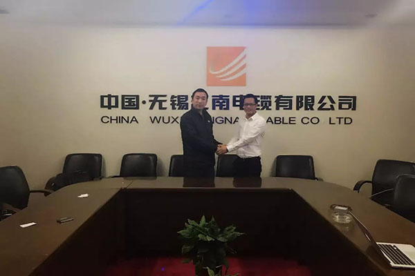 专家11 专家11
